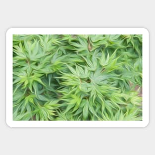 Acer palmatum oil painting effect Sticker